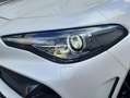 Alfa Romeo Giulia GTAM 2.9T V6 397kW (540CV)  AT GTAM Blanco - thumbnail 14