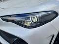Alfa Romeo Giulia GTAM 2.9T V6 397kW (540CV)  AT GTAM Blanc - thumbnail 15
