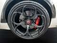 Alfa Romeo Giulia GTAM 2.9T V6 397kW (540CV)  AT GTAM Blanco - thumbnail 13