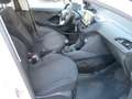 Peugeot 208 208 5p 1.6 bluehdi Active 75cv Bianco - thumbnail 8