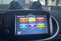 smart forTwo fortwo electric drive cabrio Prime Argento - thumbnail 11