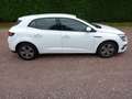 Renault Megane IV STE 1.5 DCI 115 EVOLUTION GPS 2 PLACES 72207 KM Blanc - thumbnail 9