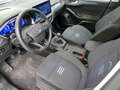 Ford Focus 1.0 ECOBOOST MHEV 114KW ACTIVE X 155 5P Bleu - thumbnail 15