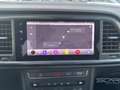 SEAT Ateca Ateca 2.0 TDI 115 CV Business Bianco - thumbnail 13