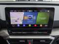 SEAT Leon Xcellence Plus 1.5 TSI STHZ+RFK+LED+NAV+SHZ Rosso - thumbnail 13