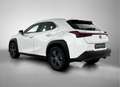 Lexus UX 250h Urban Line | Apple Carplay & Android Auto | Cruise Weiß - thumbnail 14