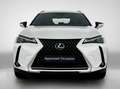Lexus UX 250h Urban Line | Apple Carplay & Android Auto | Cruise Weiß - thumbnail 21