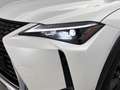 Lexus UX 250h Urban Line | Apple Carplay & Android Auto | Cruise Weiß - thumbnail 25