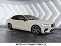 Volvo S60 T5 R-Design NAVI 360° StHEIZ HUD BLIS LED Blanco - thumbnail 5