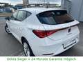 SEAT Leon 81kW.Navi.AppLink.SHZ.Kamera.PDC.2-Hand Weiß - thumbnail 6