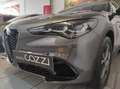 Alfa Romeo Stelvio - Stelvio 2.2 Turbodiesel 210 CV AT8 Q4 Sprint Grau - thumbnail 27
