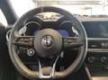 Alfa Romeo Stelvio - Stelvio 2.2 Turbodiesel 210 CV AT8 Q4 Sprint Grau - thumbnail 12
