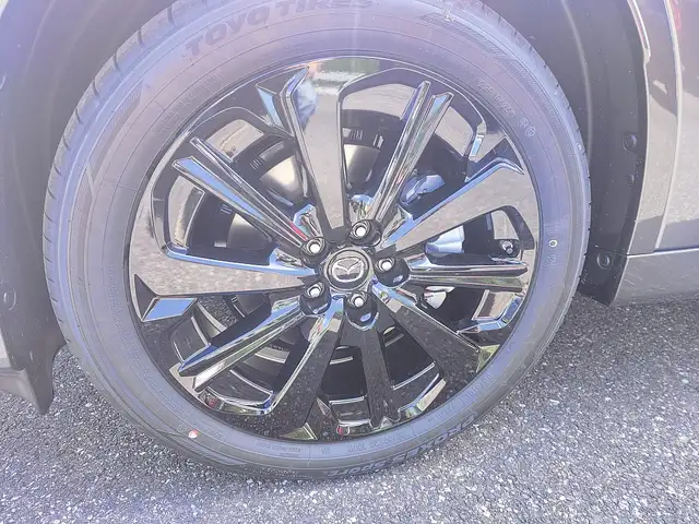 Mazda CX-60 3.3L e-SKYACTIV D AWD HOMURA + Conv. Sound P. A... Ansicht 10
