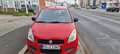 Suzuki Splash Basic Klima mit Tüv Kunden Auftrag Rot - thumbnail 5