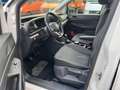 Volkswagen Caddy Maxi Kasten 2,0 TDI "Cargo" teilverglast Weiß - thumbnail 13
