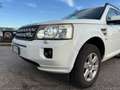 Land Rover Freelander 2.2 SD4 S.W. S - thumbnail 5