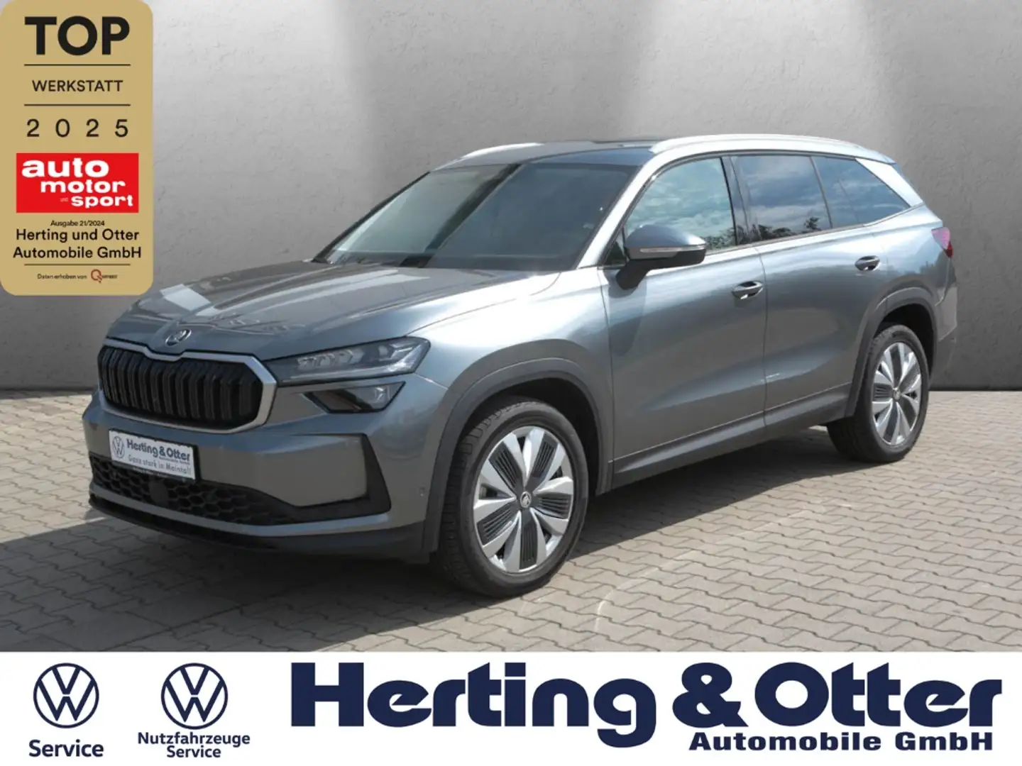 Skoda Kodiaq Selection 4x4 7-Sitz. 8-fach-bereift ACC LED AHK A Grau - 1
