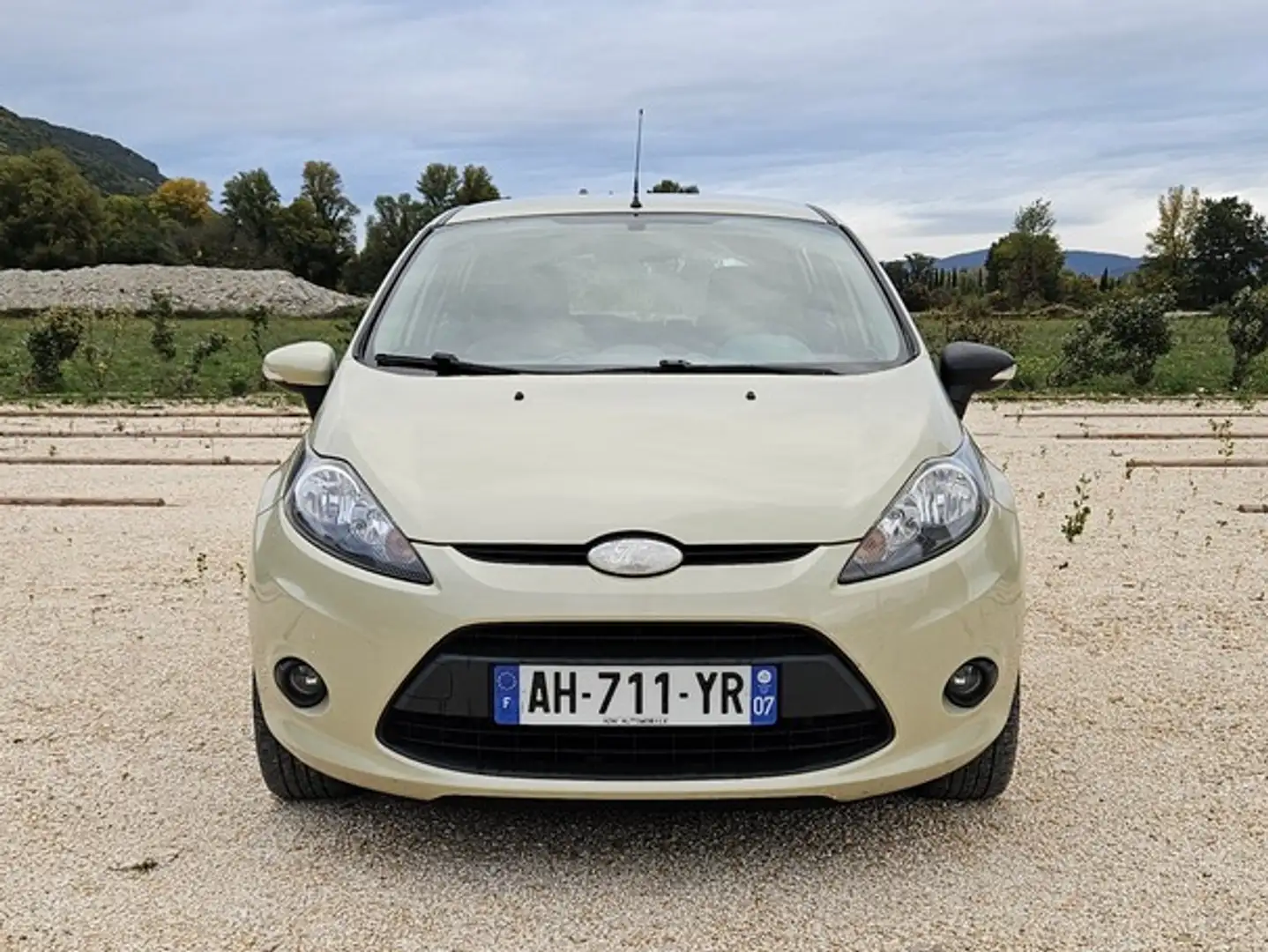 Ford Fiesta VI 1.4 TDCi 70 cv Beige - 2