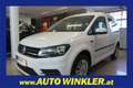 Volkswagen Caddy Kombi 4Motion 2.0TDI Connectivity/Tempomat/Klima Weiß - thumbnail 1