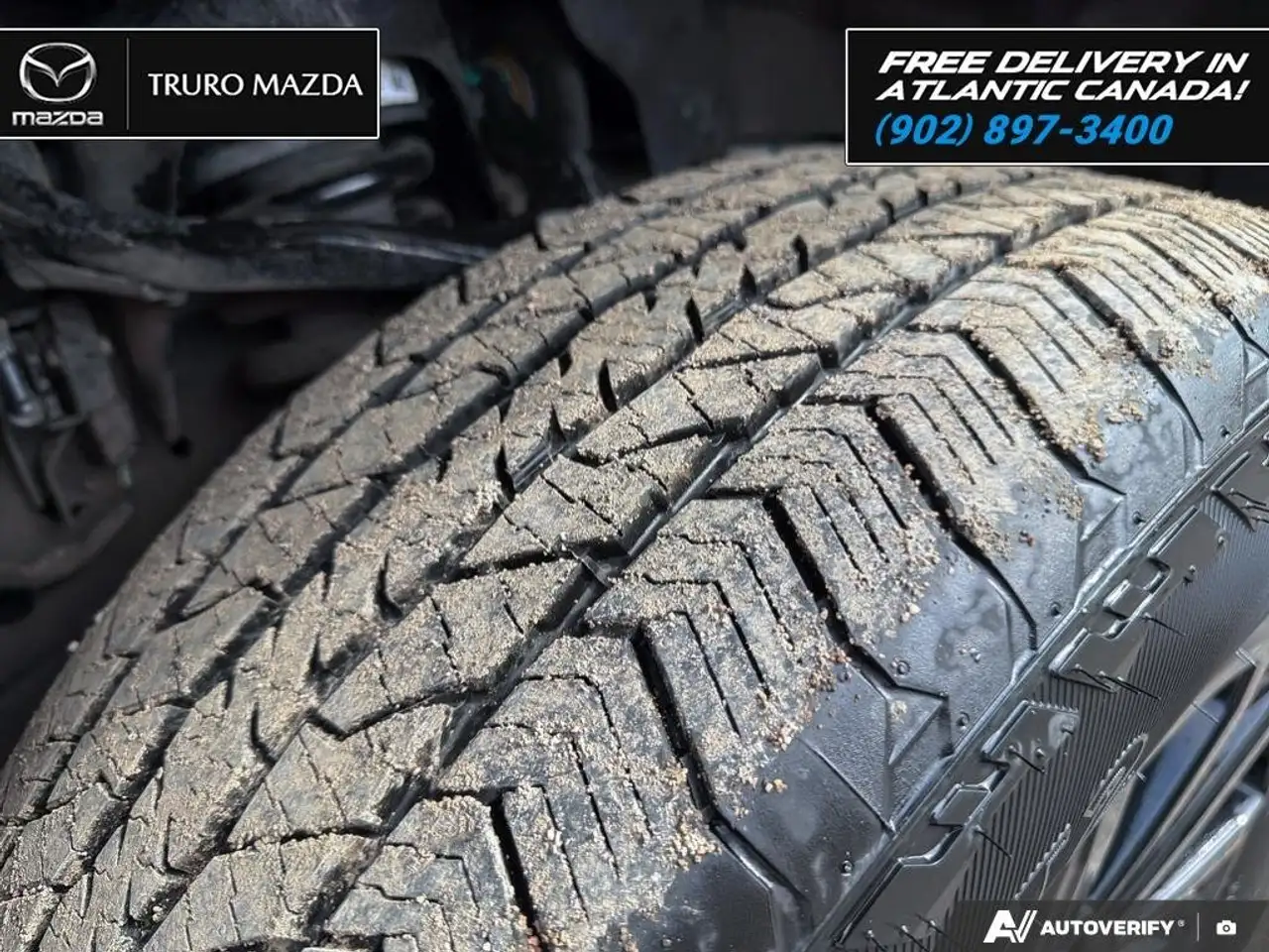 Ford F 150 photo Ford F 150