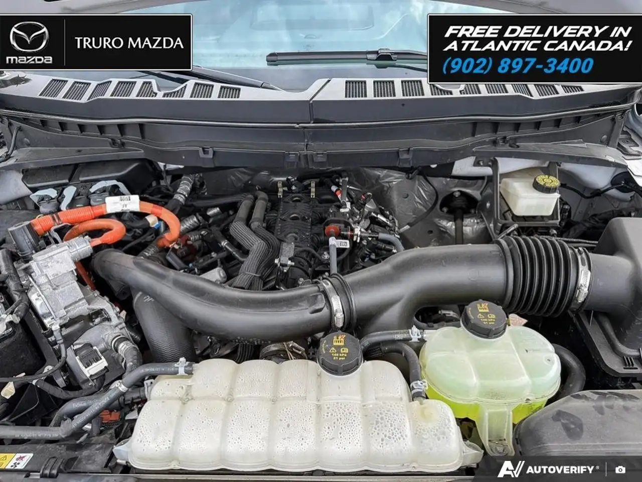 Ford F 150 photo Ford F 150