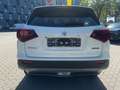 Suzuki Vitara VITARA 1.5 VOLLHYRID ALLRAD AUTOMATIK COMFORT Bianco - thumbnail 7