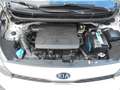 Kia Picanto 1.0 MPi 67PK CARPLAY / ANDROID CAMERA NL-AUTO Wit - thumbnail 31
