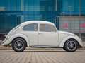 Volkswagen Kever Weiß - thumbnail 13