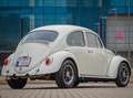 Volkswagen Kever Weiß - thumbnail 12