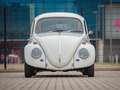 Volkswagen Kever Weiß - thumbnail 14