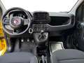 Fiat Panda 1.0 GSE Hybrid Gelb - thumbnail 8