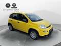 Fiat Panda 1.0 GSE Hybrid Gelb - thumbnail 2