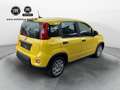 Fiat Panda 1.0 GSE Hybrid Gelb - thumbnail 3