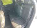 Ford Kuga 2,5 Duratec FHEV ST-Line X Allrad Aut. Blanc - thumbnail 9
