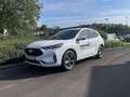 Ford Kuga 2,5 Duratec FHEV ST-Line X Allrad Aut. Blanc - thumbnail 1