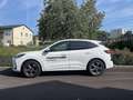 Ford Kuga 2,5 Duratec FHEV ST-Line X Allrad Aut. Weiß - thumbnail 3