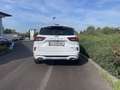 Ford Kuga 2,5 Duratec FHEV ST-Line X Allrad Aut. Blanc - thumbnail 5
