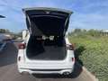 Ford Kuga 2,5 Duratec FHEV ST-Line X Allrad Aut. Weiß - thumbnail 6