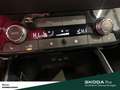 Skoda Fabia SELECTION TSI DSG SITZHEIZUNG EINPARKHILFE LED SMA Schwarz - thumbnail 21