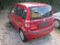 Fiat Panda Panda 1.2 Automatik Dynamic Rojo - thumbnail 3