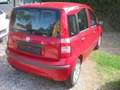 Fiat Panda Panda 1.2 Automatik Dynamic Rojo - thumbnail 4
