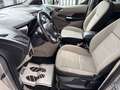 Ford Grand Tourneo Connect Titanium /KAMERA/7SITZER Gold - thumbnail 8