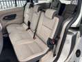 Ford Grand Tourneo Connect Titanium /KAMERA/7SITZER Gold - thumbnail 9