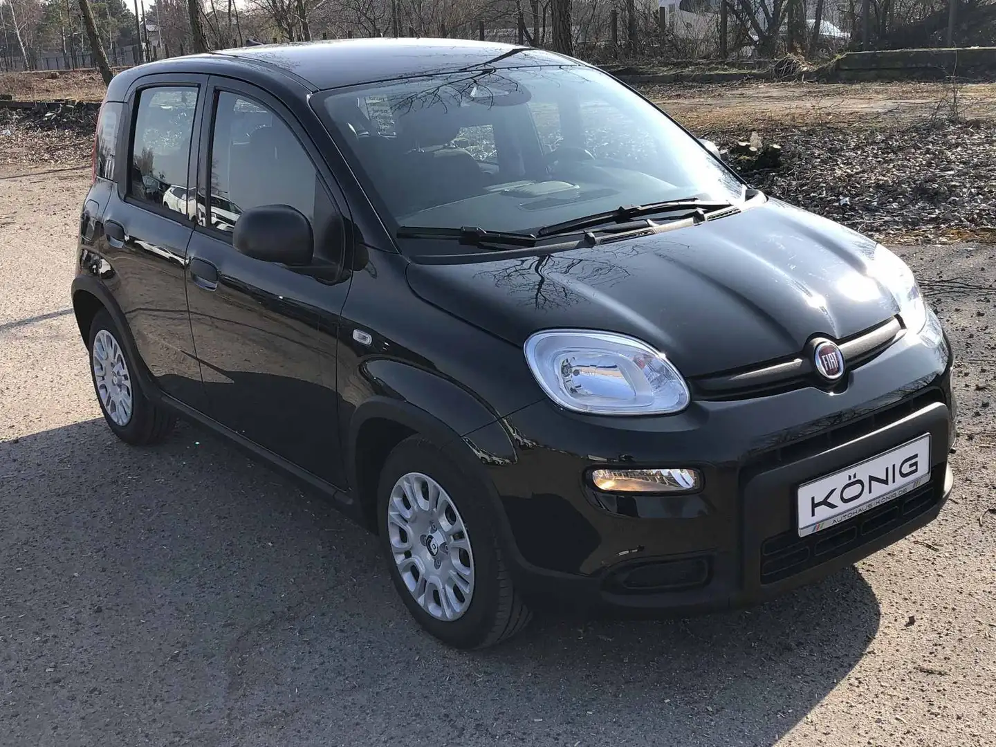 Fiat Panda MY24 1.0 Klima PDC Citypaket Schwarz - 2