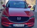 Mazda CX-5 CX-5 CD150 AWD Revolution Revolution Rot - thumbnail 3