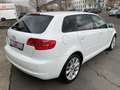 Audi A3 Sportback 2.0 TDI Ambition Tempomat PDC 6Gang White - thumbnail 5