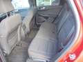 Ford Kuga ST-Line 120PS Diesel Rot - thumbnail 6