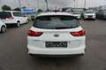 Kia Ceed SW / cee'd SW cee'd Sportswagon ceed SW 1,0 T-GDI GPF ISG Titan Weiß - thumbnail 5