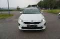 Kia Ceed SW / cee'd SW cee'd Sportswagon ceed SW 1,0 T-GDI GPF ISG Titan Weiß - thumbnail 1