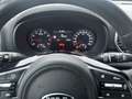 Kia Sportage 1.6 T-GDI 4WD GT Line Rückfahrkam. SHZ Brun - thumbnail 15